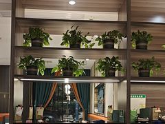-刘胖子家常菜·蹄花焖藕(中南店)