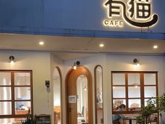 -有猫主题·治愈系猫咖(曾厝垵店)