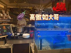 -合肥皇冠假日酒店·菲亚斯特自助餐厅(黄山路店)