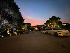 -太湖饭店玉兰厅(自助餐厅)