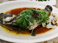 清蒸深海老虎斑-新兴家喻酒家·羊城名宴(昌岗店)