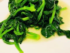 上汤蚕豆苗-海味世家·家常菜馆(明州里店)