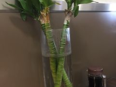 -晋乡亲刀削面(东风桥东店)