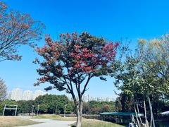 -白塘生态植物园