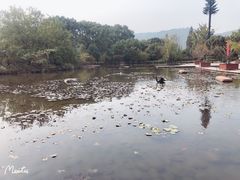 -白马涧龙池景区