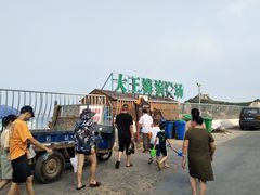 -大王村沙滩