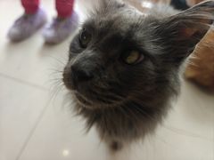 -平行世界·猫咖(首经贸店)