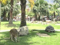 -灵玲国际马戏城