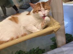 -小时光咖啡馆(开森度假森林店)