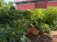 -大钟寺古钟博物馆