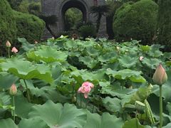 -四川大学(华西校区)