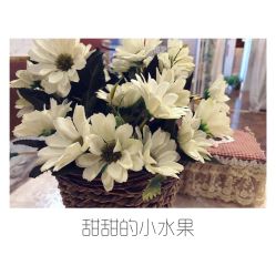 -美丽步骤眼部理疗美容连锁机构