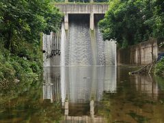 -重庆彩云湖湿地公园