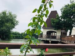 -静之湖湖畔餐厅