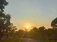 -上海滨江森林公园