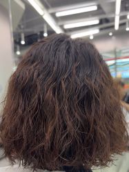 -东方麒麟·潘多拉SALON