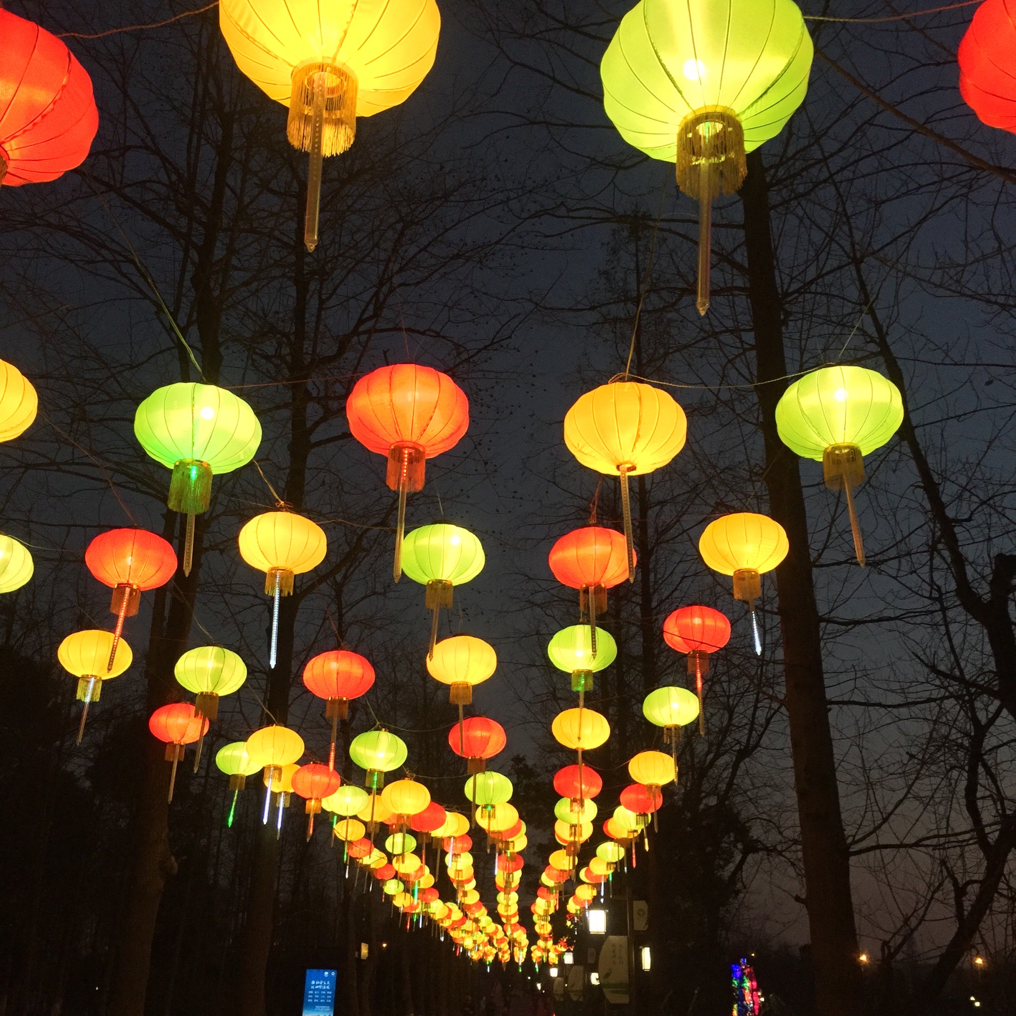 夜晚的彩灯五彩缤纷图片