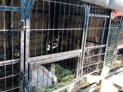 -小鱼草莓采摘园农家乐·小鱼餐厅