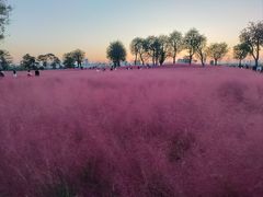 -汉长安城未央宫国家考古遗址公园