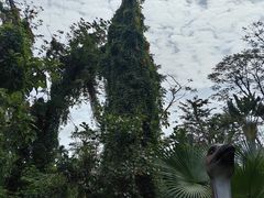 -海南热带野生动植物园