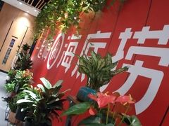 -海底捞火锅(大学路新象城店)