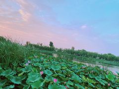 -素心小筑(后沙裕镇店)