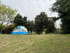 -月湖风景区