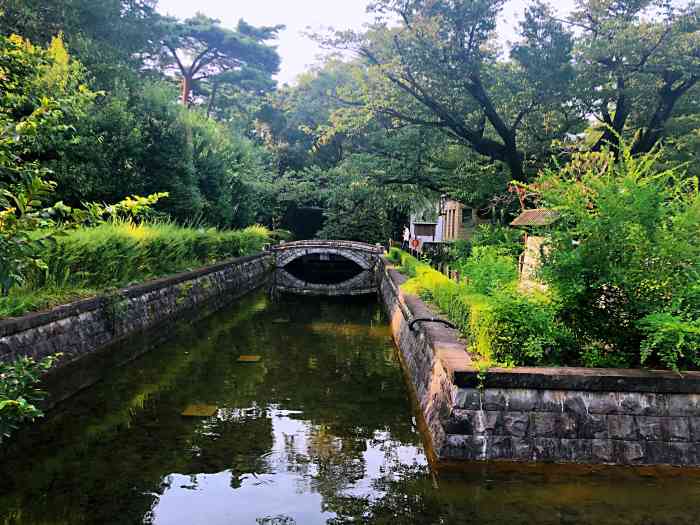 小金井公园图片