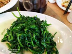 豌豆尖-钦善斋(武侯祠店)