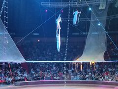 -俄罗斯国家大马戏团