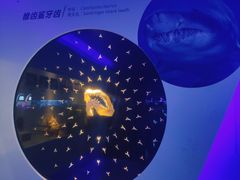 -青岛海底世界-水族馆