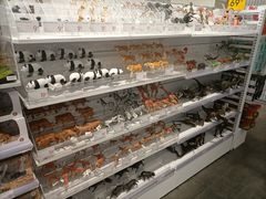 -KKV(南京新城市广场店)