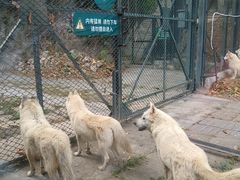 -深圳野生动物园