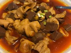 血旺肥肠-眉州东坡·熊猫主题餐厅(枫蓝店)