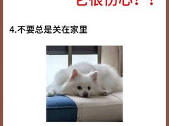 -美联众合动物医院·24h转诊中心