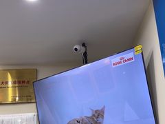 -全心全意连锁动物医院·微创中心·内科急重症·心脏专科(丰管路店)