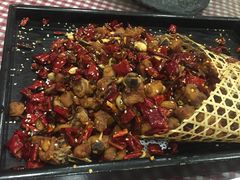 -朝郡酒家·粤菜(燕大星苑店)