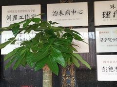 -殊德医馆
