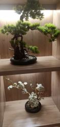 点击看大图 -天使妈妈产后康复中心(万宝店)