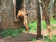 -南昌动物园