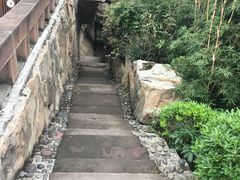 -张坝桂圆林公园