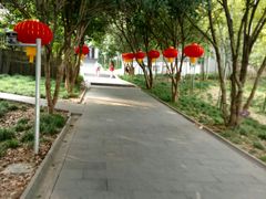 -上海佘山国家森林公园西佘山园