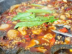 香辣石锅鱼-九寨沟石锅鱼(沣峪口二十年店)