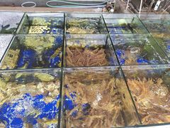 -佛都笑农庄(清溪店)