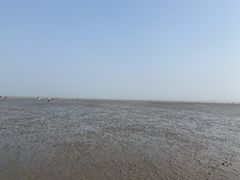 -南汇嘴观海公园