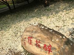 -汉口江滩-五福广场