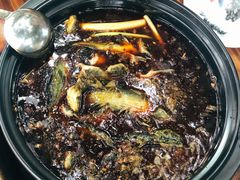 -金海椒罐罐鲢鱼(东方桂苑店)