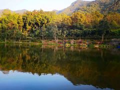 -深圳仙湖植物园