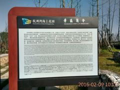 -杭州湾海上花田景区