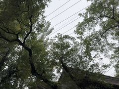 -湘子庙